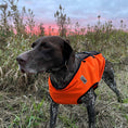 Load image into Gallery viewer, Gamehide Elimitick Dog Vest - Lifestyle - Blaze Orange