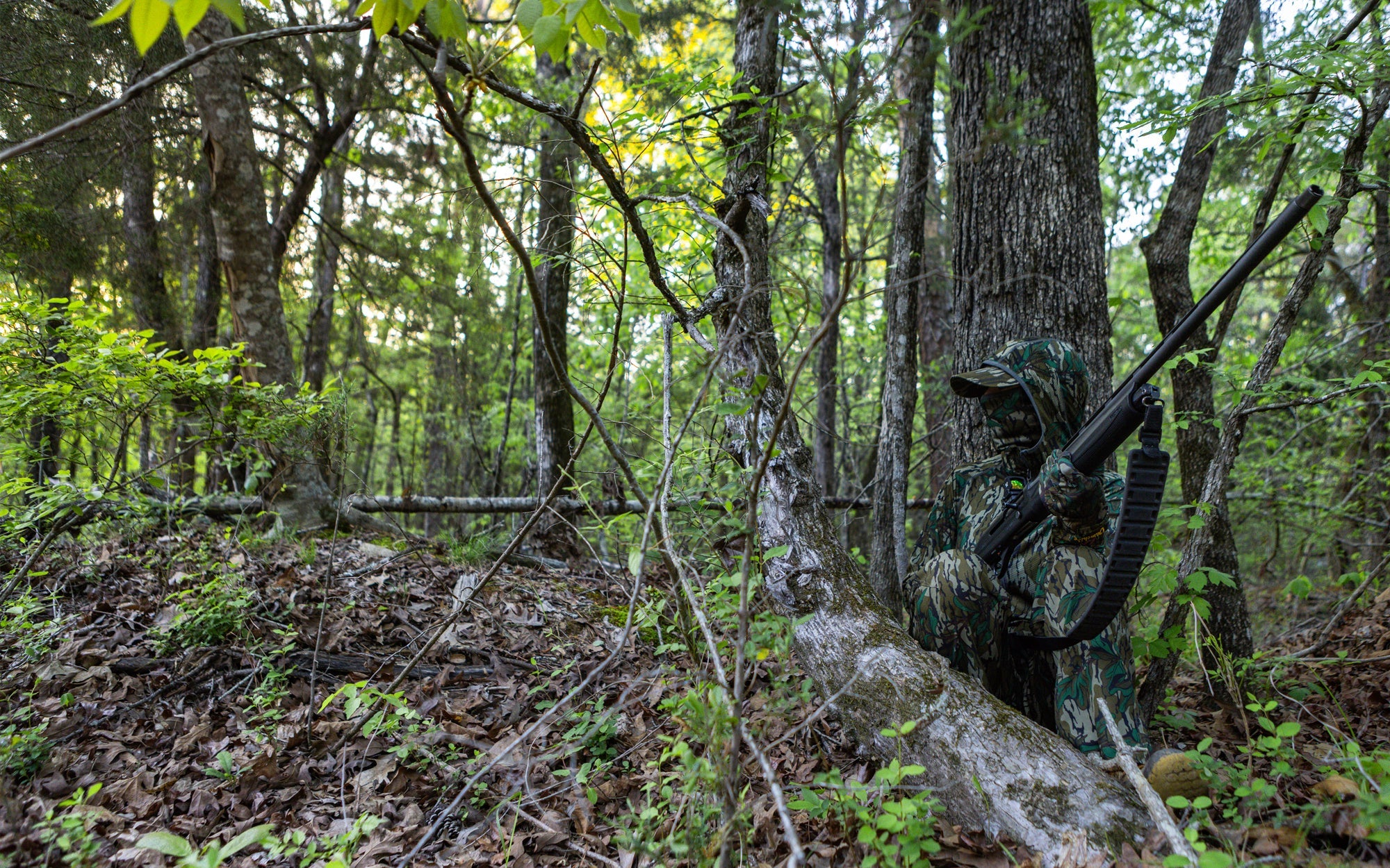 Hunter in turkey hunting clothing