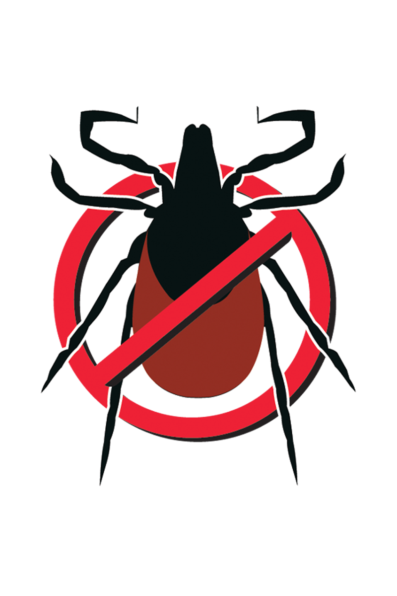elimitick tick icon